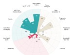 从守门员到战术大师：一位教练的蜕变之路